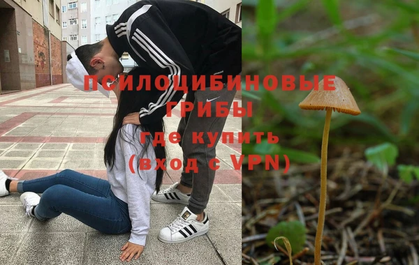 PSILOCYBIN Протвино