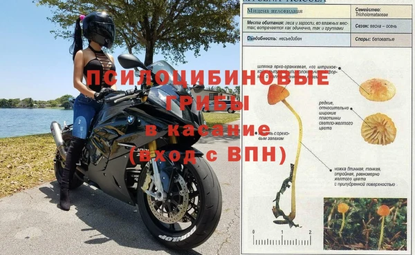 мескалин Алзамай